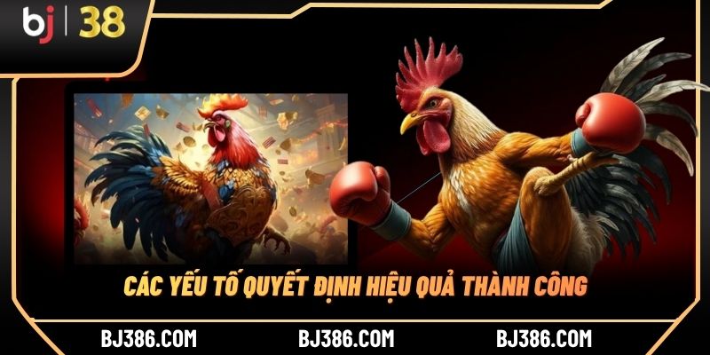 Các yếu tố quyết định hiệu quả thành công Các yếu tố quyết định hiệu quả thành công