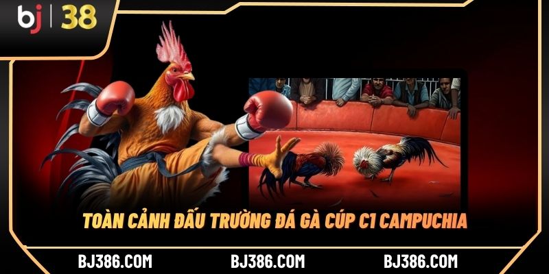 Toàn cảnh đấu trường đá gà Cúp C1 Campuchia Toàn cảnh đấu trường đá gà Cúp C1 Campuchia